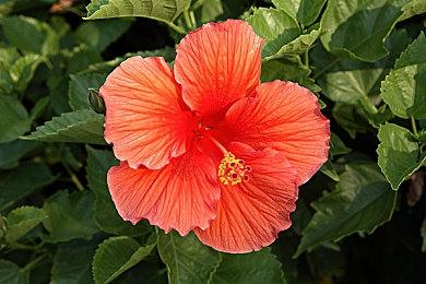 《Research and Destroy》现已发售 国区原价70元